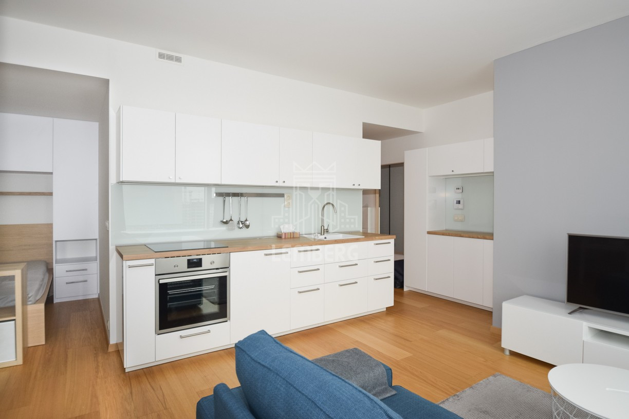 Современная 1-комнатная квартира в Panorama City